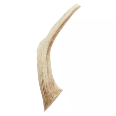 Dentley's® Nature's Chews Large Full Deer Antler Dog Chew - Image 1