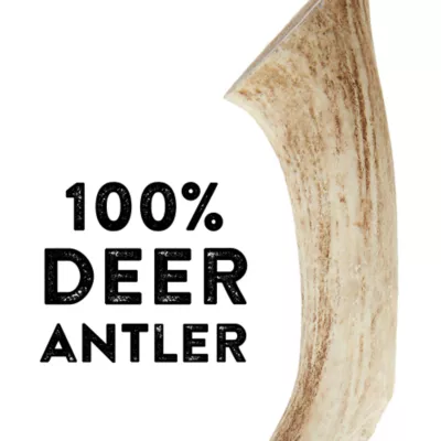 Dentley's® Nature's Chews Large Full Deer Antler Dog Chew - Image 4