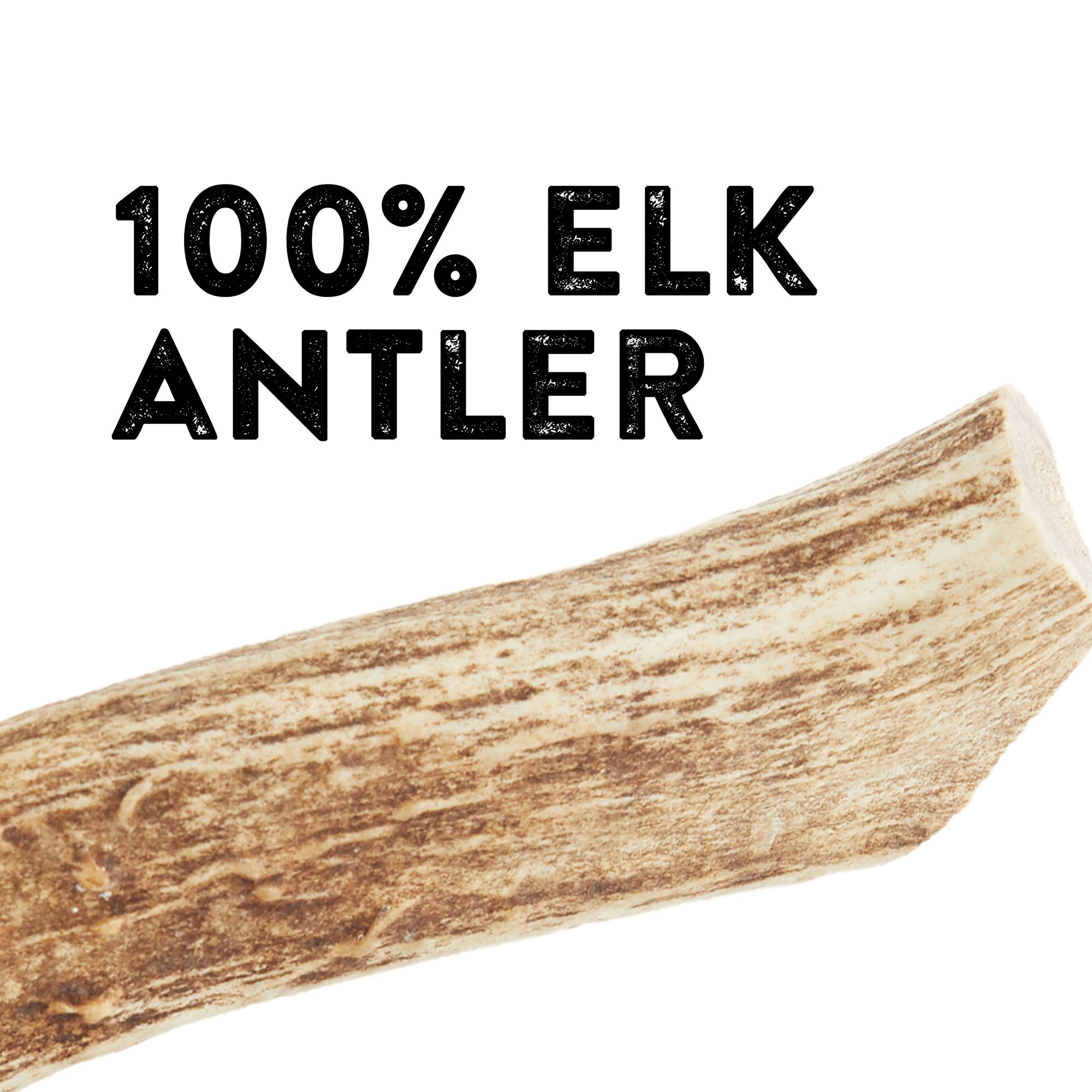 Dentley's xxl elk antler sales