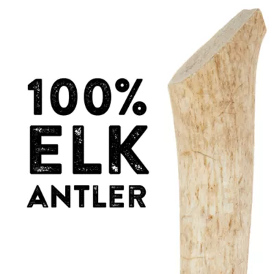 Product Dentley's® Nature's Chews Large Full Elk Antler Dog Chew