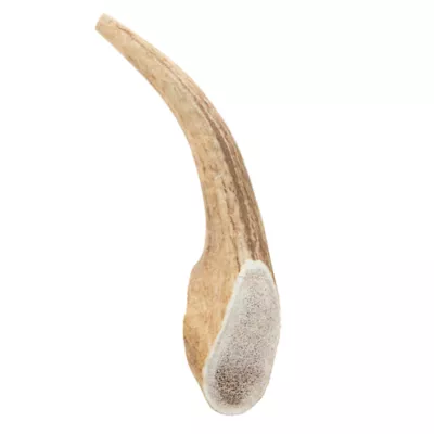 Product Dentley's® Nature's Chews Large Full Elk Antler Dog Chew