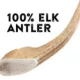 Product Dentley's® Nature's Chews Large Full Elk Antler Dog Chew