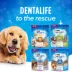 DentaLife Daily Oral Care Large Breed Dog Treats image thumbnail 7