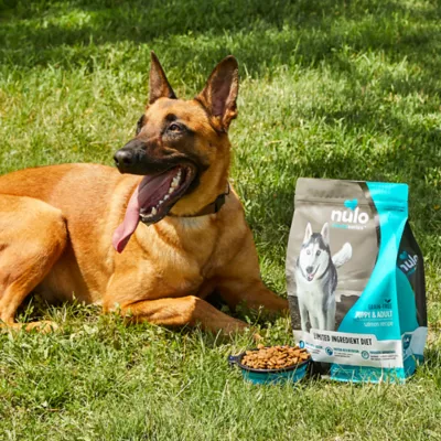 Product Nulo MedalSeries All Life Stages Dry Dog Food - Salmon