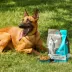 Nulo MedalSeries All Life Stages Dry Dog Food - Salmon image thumbnail 9