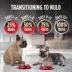Nulo MedalSeries All Life Stages Dry Dog Food - Turkey, Grain Free image thumbnail 6