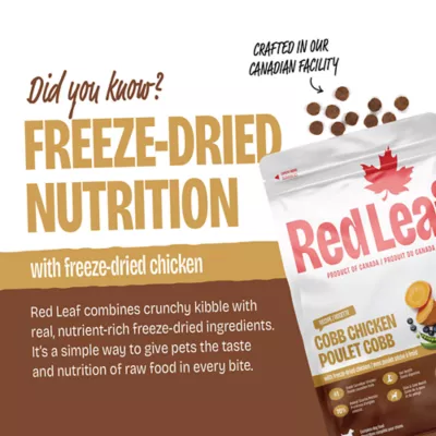 Red Leaf Adult Dog Food - Cobb Chicken - Image 3
