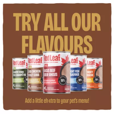 Red Leaf ™ Pate Wet Dog Food - Chicken - Image 5