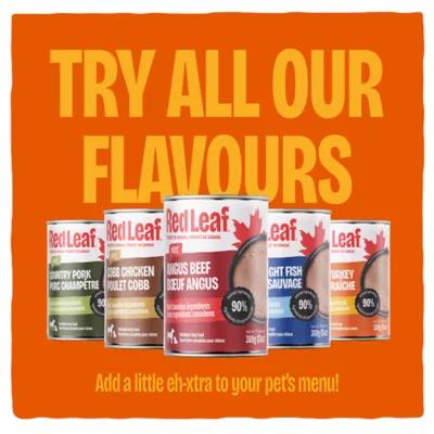 Red Leaf ™ Pate Wet Dog Food - Turkey - Image 5