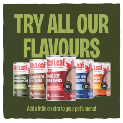 Red Leaf ™ Pate Wet Dog Food - Pork - Image 5