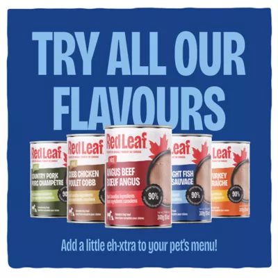 Red Leaf ™ Pate Wet Dog Food - Ocean Fish - Image 5
