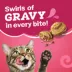 Friskies Dry Cat Food - Gravy Swirlers Assorted Flavours, 1.42 kg image thumbnail 4