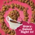 Friskies Dry Cat Food - Gravy Swirlers Assorted Flavours, 1.42 kg image thumbnail 9