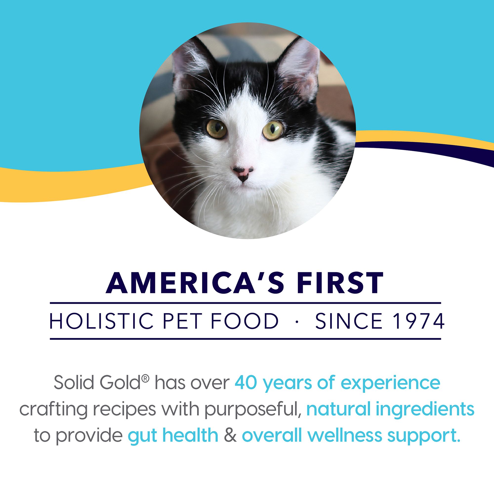 petsmart solid gold cat food