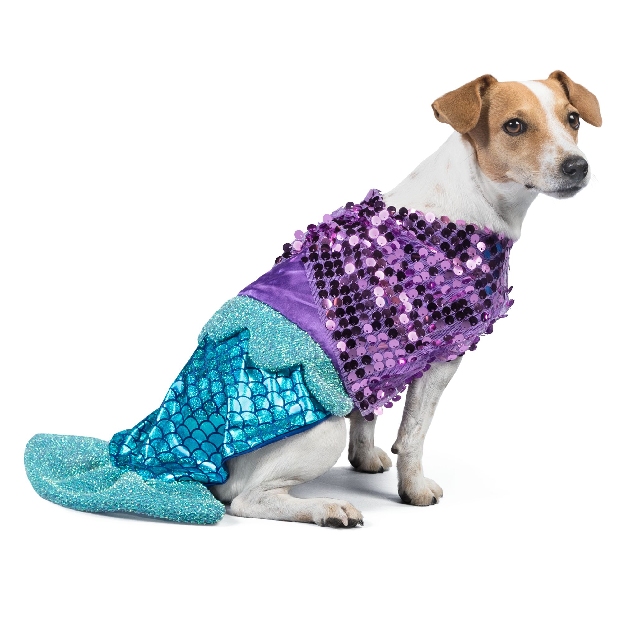 Halloween Pets: Costumes, Toys, Treats & More at PetSmart