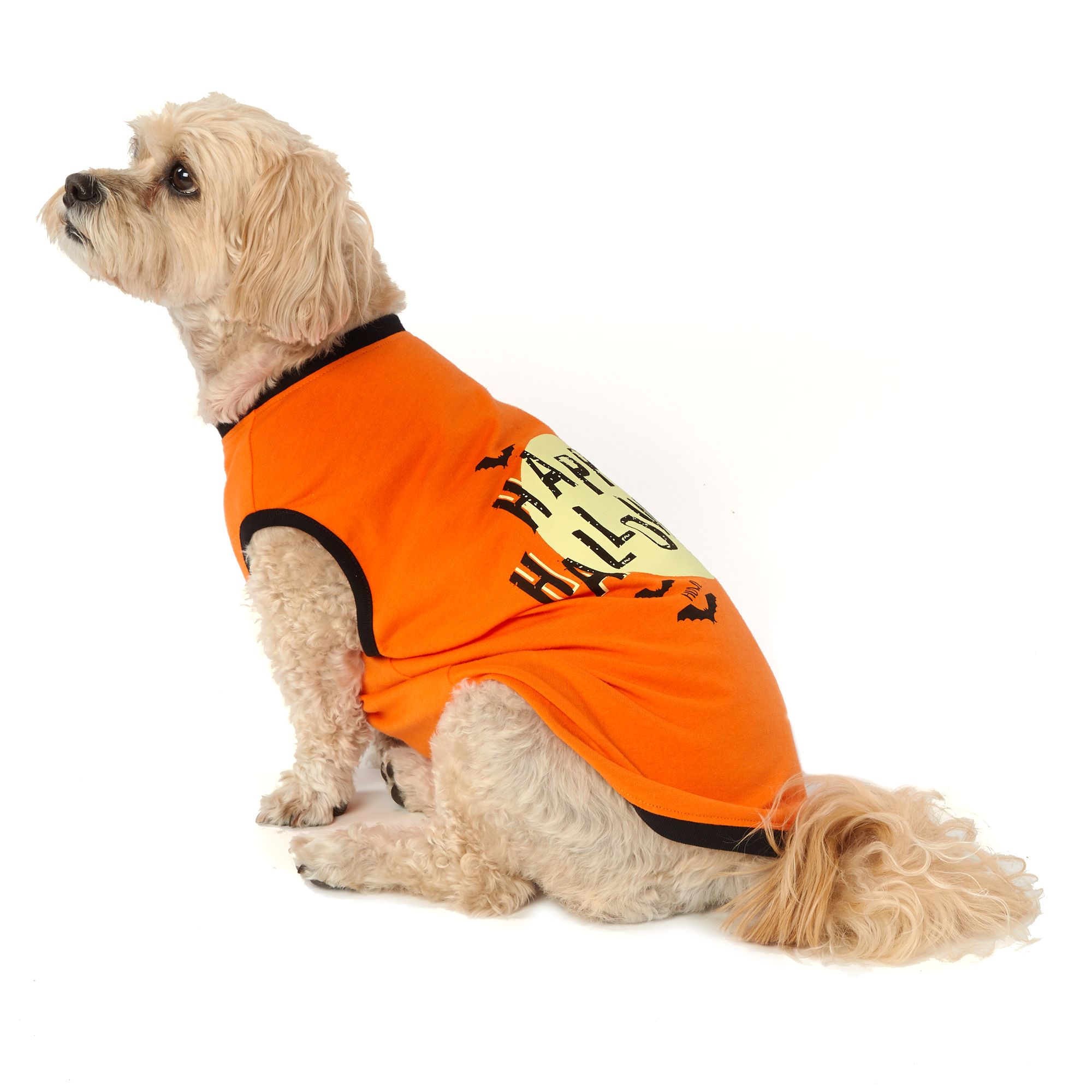 petsmart dog t shirts