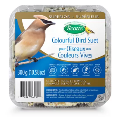 Product Scotts® Colourful Bird Suet Wild Bird Food