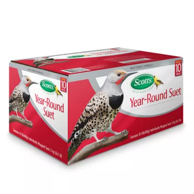 Product Scotts® Year-Round Suet Wild Bird Food - 10 pack