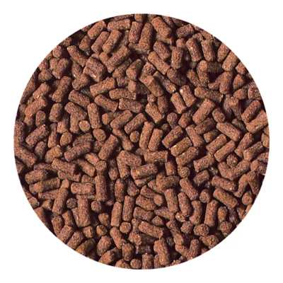 Hikari® Crab Cuisine® Crustacean Food - Image 3