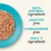 Applaws Adult Wet Cat Food - Natural, Limited Ingredient, 2.47oz image thumbnail 5
