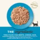 Product Applaws Adult Wet Cat Food - Natural, Limited Ingredient, 2.47oz