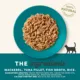 Product Applaws Adult Wet Cat Food - Natural, Limited Ingredient, 2.47oz