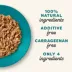 Applaws Wet Cat Food - Natural, Limited Ingredient, 5.5 oz image thumbnail 4