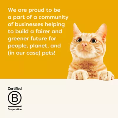 Product Applaws Wet Cat Food - Natural, Grain Free, Limited Ingredient