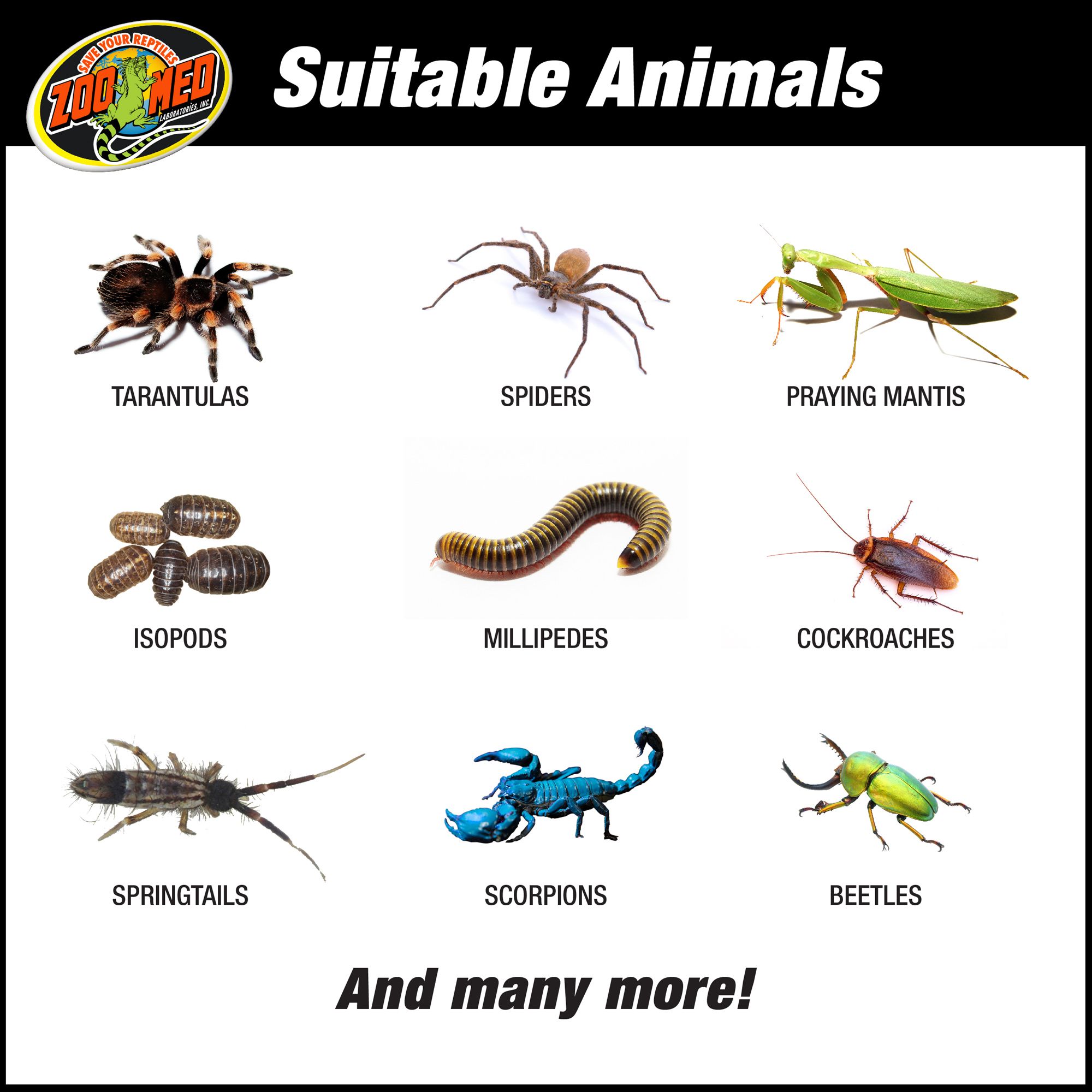Zoo Med Creatures® Creature Den Low Profile Reptile Terrarium - Reptile Habitat - 20.5x10.5x8 - 6G - thumbnail 5
