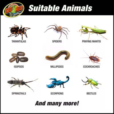 Product Zoo Med Creatures Creature Den Low Profile Reptile Terrarium