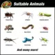 Product Zoo Med Creatures Creature Den Low Profile Reptile Terrarium