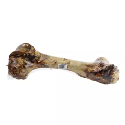 Product Chew Time Dino Bone Dog Treat