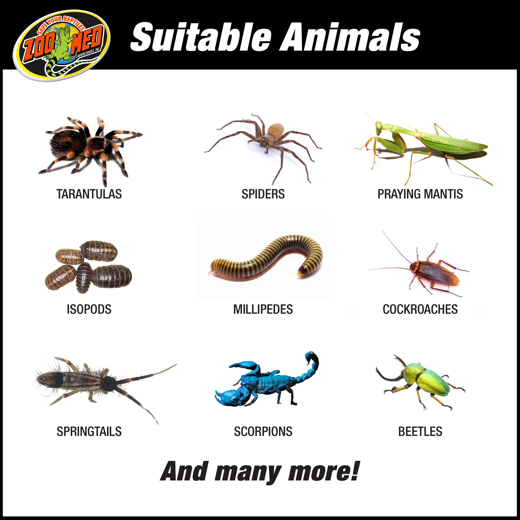 Zoo Med Creatures® Creature Habitat Kit Reptile Terrarium - Reptile Starter Kit - 3 Gallon -8.5x8x11 - thumbnail 5