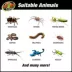 Zoo Med Creatures Creature Den Low Profile Reptile Terrarium image thumbnail 5