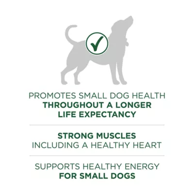 Product Purina ONE® +Plus Small Breed Adult Dog Dry Food - Lamb, No Artificial Colors, No Artificial Flavors