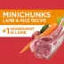Iams Proactive Health Minichunks Adult Dry Dog Food with Real Lamb & Rice image thumbnail 4