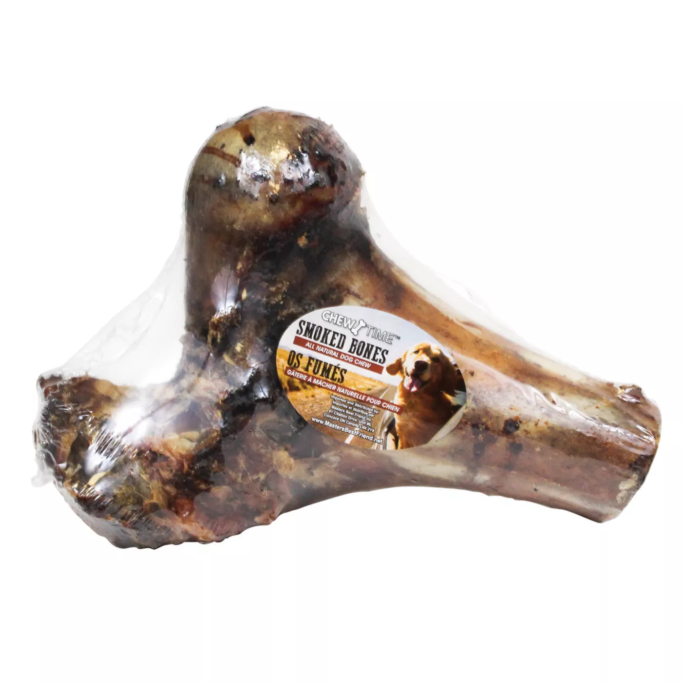 Dino bones for dogs best sale