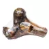 Chew Time Half Dino Bone image thumbnail 1