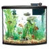 Top Fin® Bow Front Aquarium Starter Kit -  36 Gallon image thumbnail 1