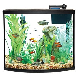 Aqua Culture 10-Gallon Glass Aquarium Starter Kit 