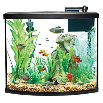 Small Fish Tank Aquarium Fish Tank Starter Kit Mini Betta Bow Tank Tiny  Aquarium Tank For Office Home Room Decor（Just The Fish Tank Without Other  Acce