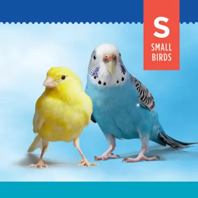 Product All Living Things® Birdie Basketball Bird Toy