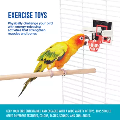 Product All Living Things® Birdie Basketball Bird Toy