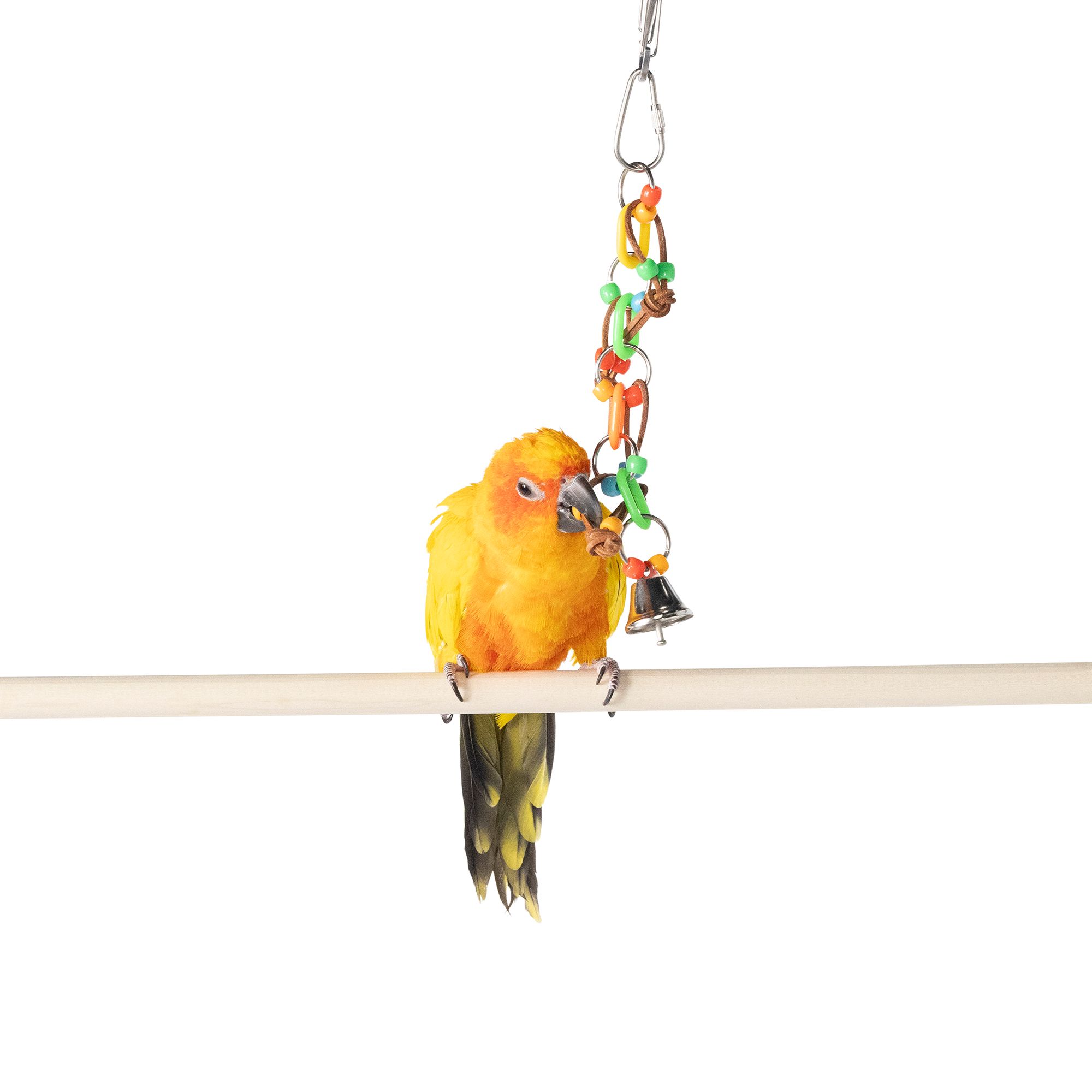 Living Things Chain Dangler Bird Toy