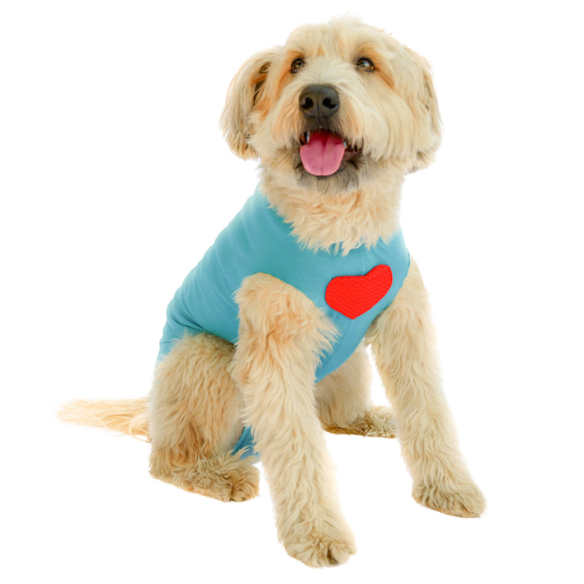 petsmart anxiety vest