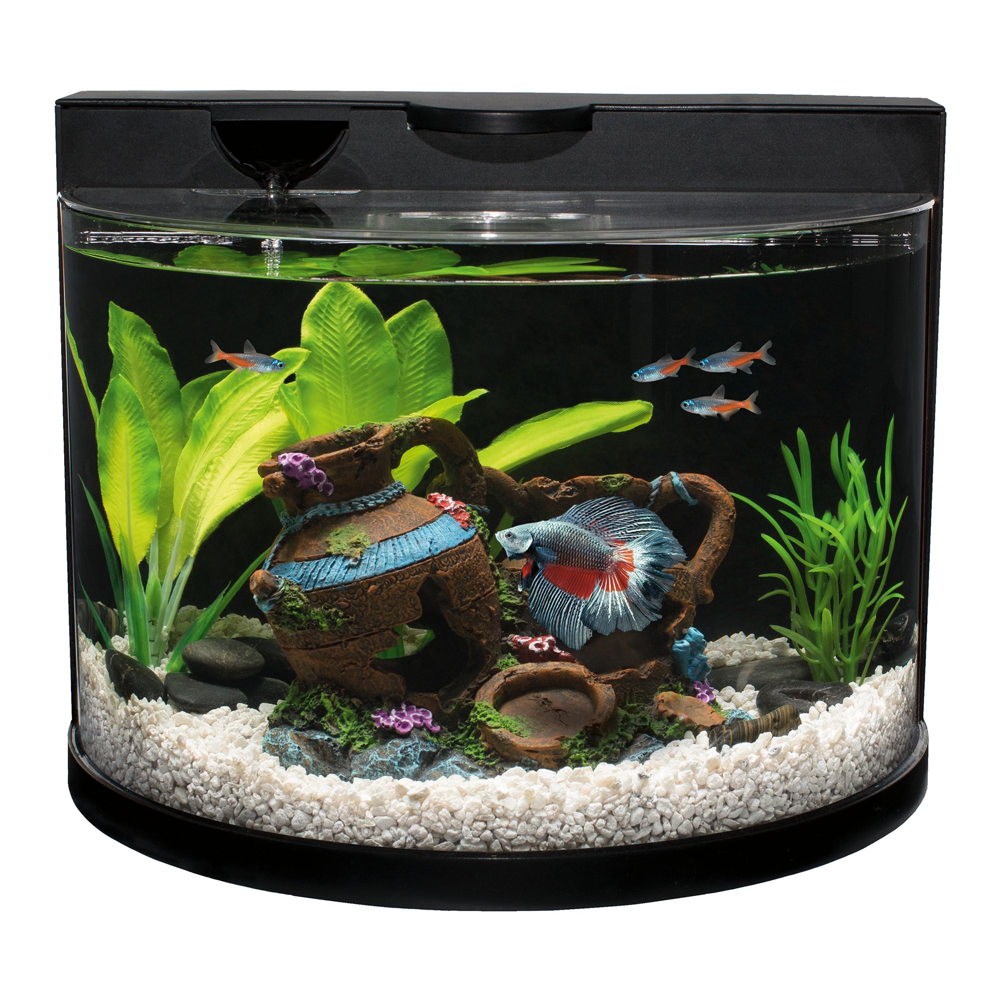 betta fish toys petsmart