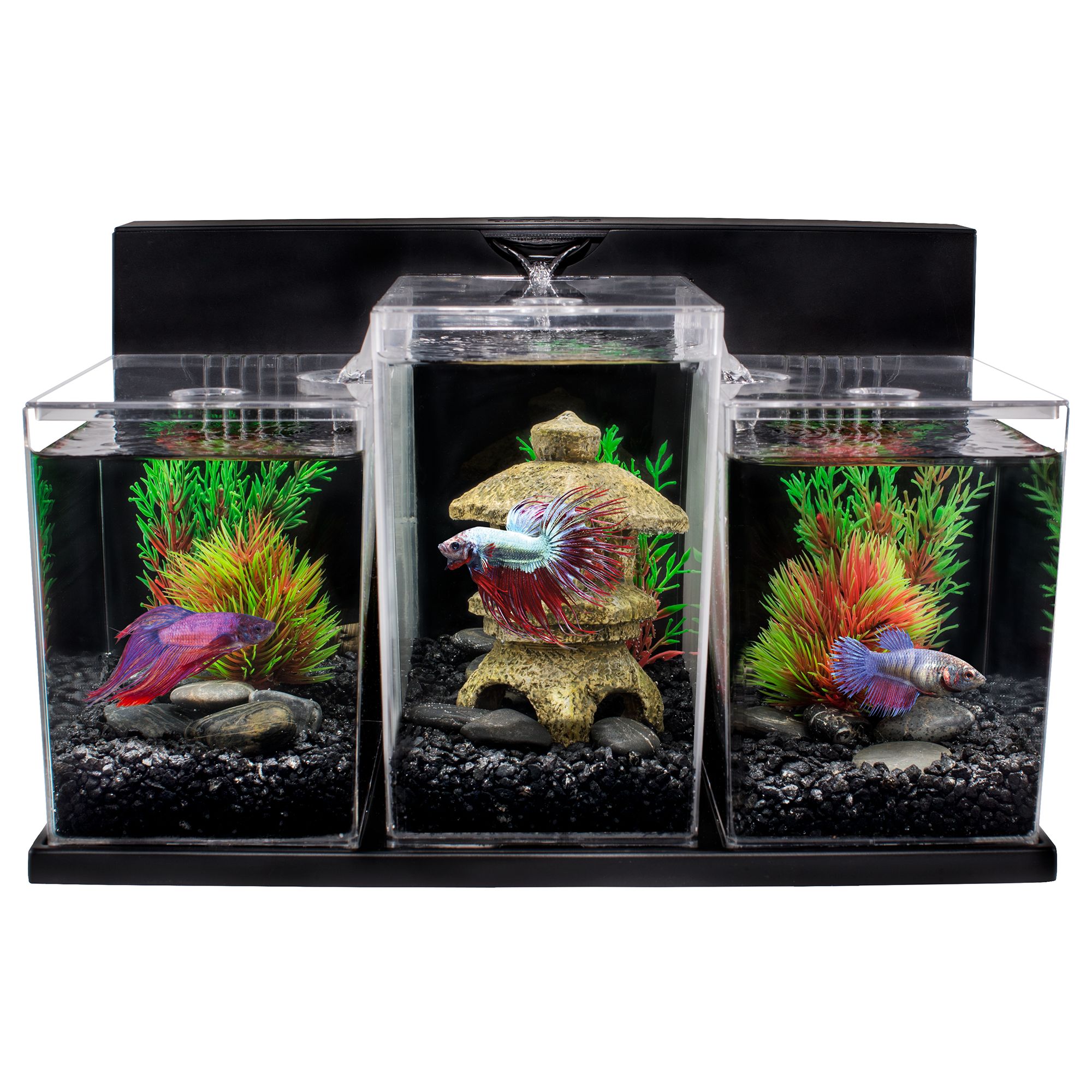 betta fish toys petsmart