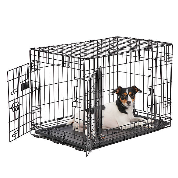 Kong Dual Door Rust Resistant Dog Crate Dog Carriers Crates Petsmart