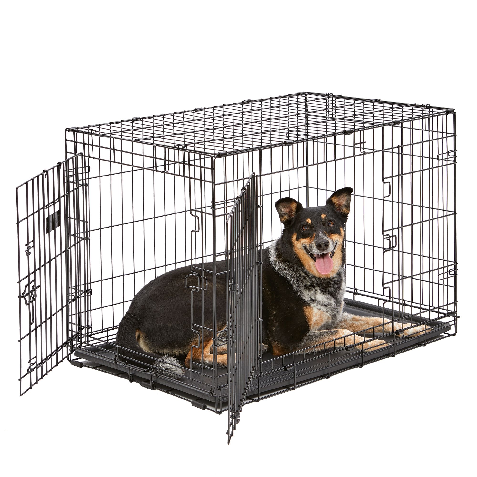 kong dog cage