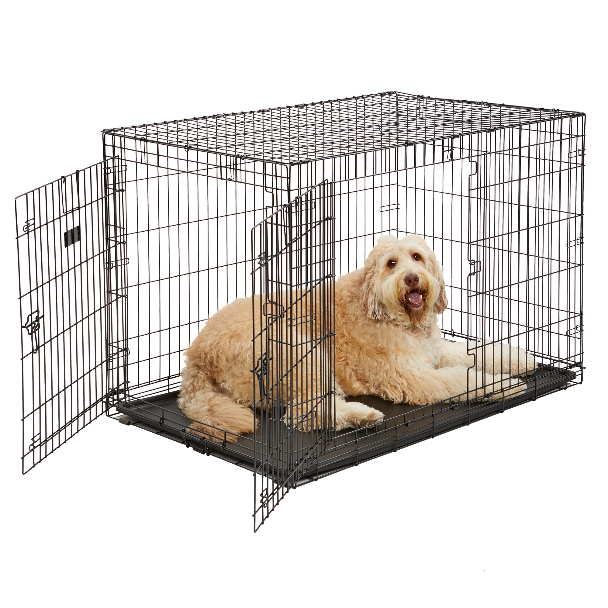 pet supplies plus dog crates